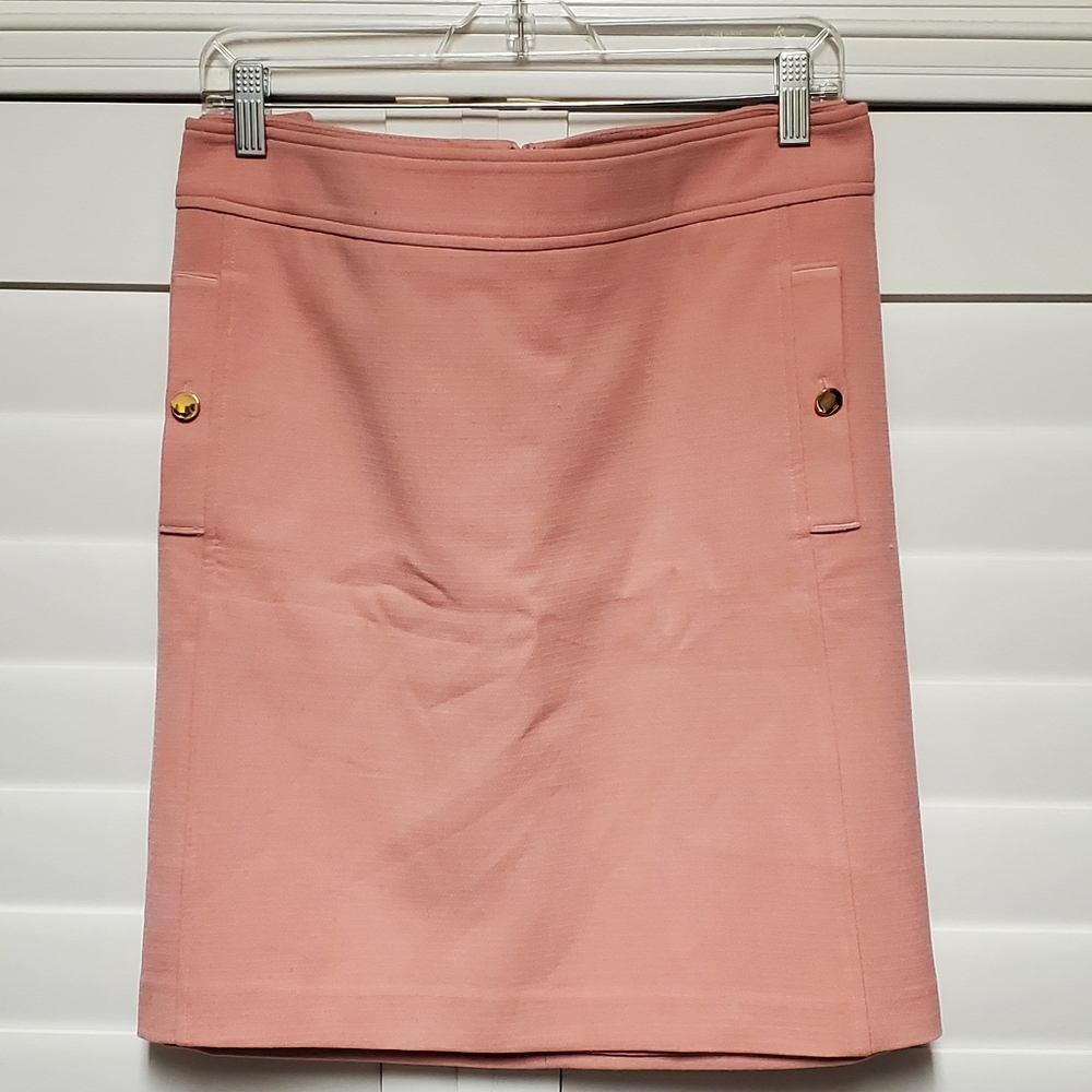 Loft Plus Pink Shift Skirt